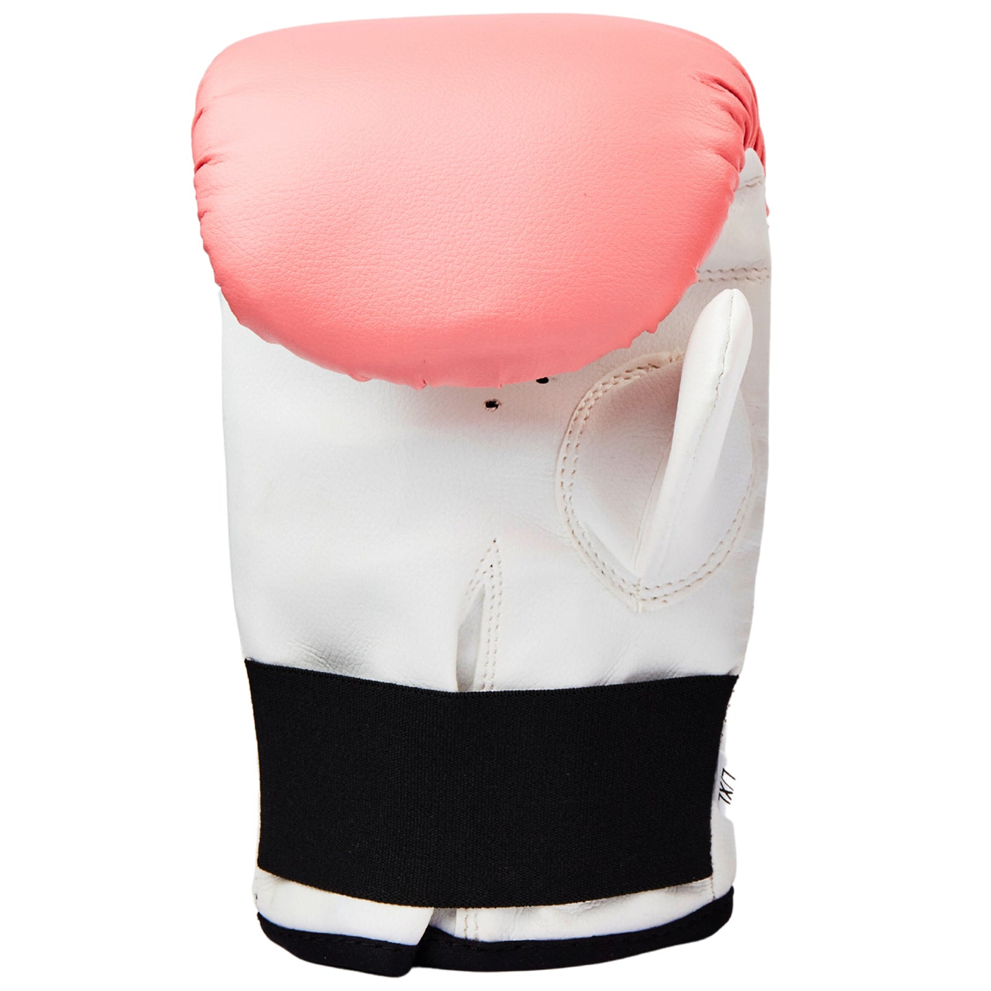 Boxing Mitts