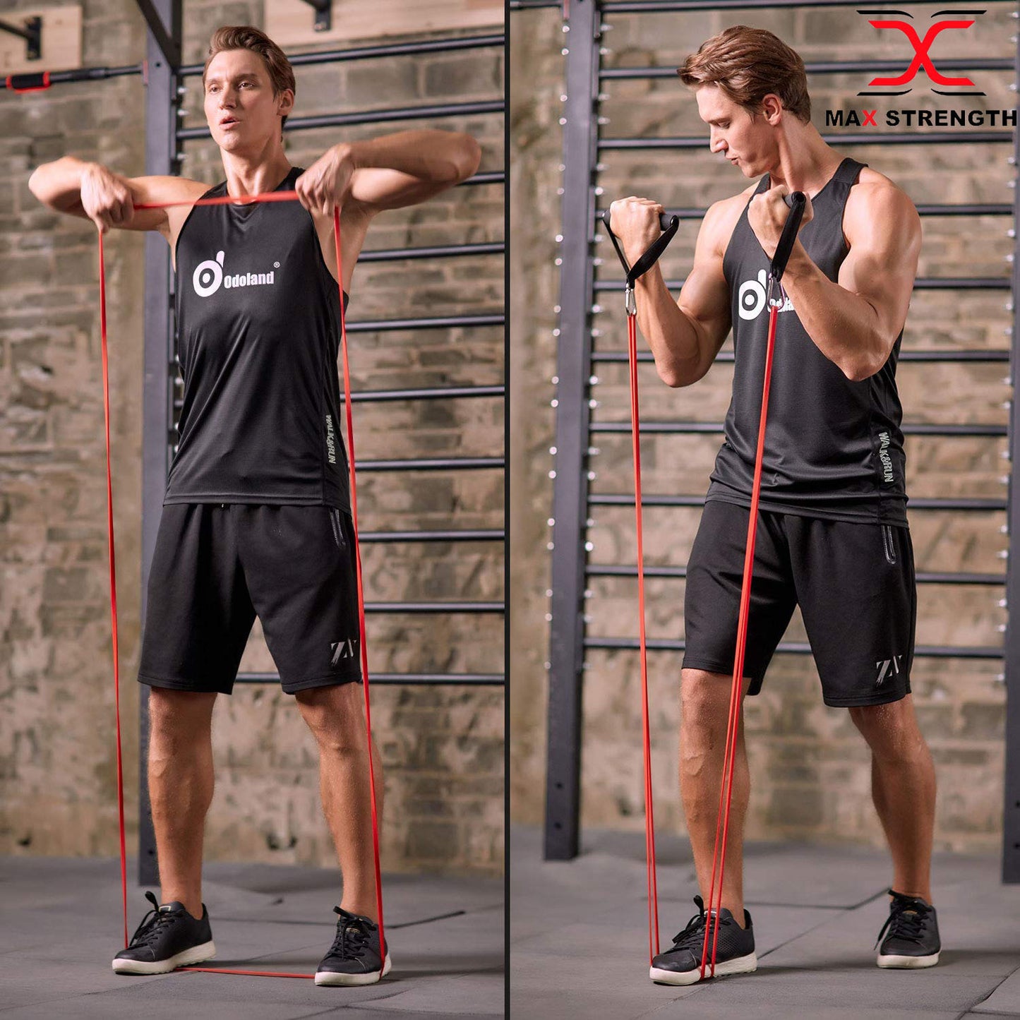 Exercise Loop Bands