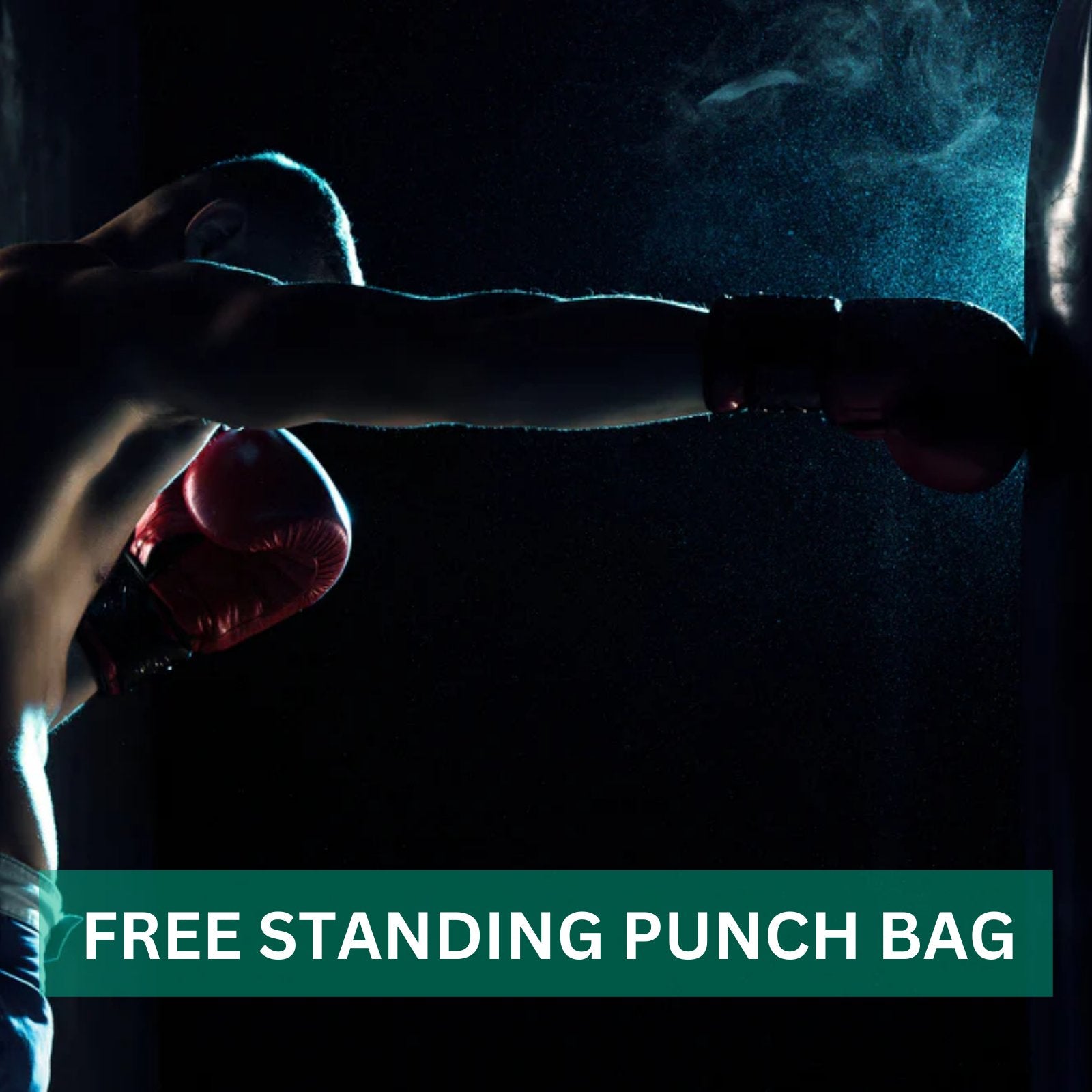 Free Standing Punch Bags